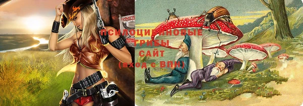 МДМА Алексеевка