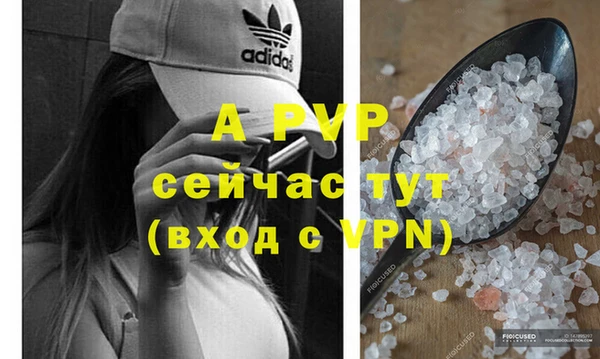 apvp Алексин
